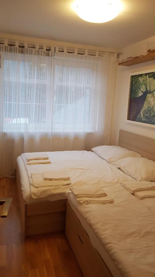 Rokytka Apartman 217 捷克布杰约维采 外观 照片