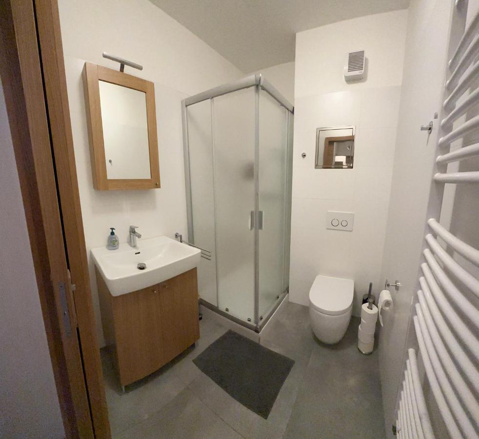 Rokytka Apartman 217 捷克布杰约维采 外观 照片
